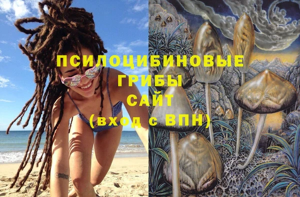 мет Магас