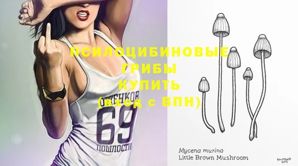 прущие грибы Магадан