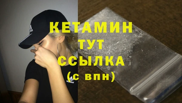 прущие грибы Магадан