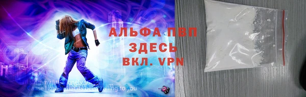 прущие грибы Магадан