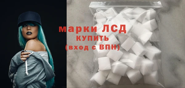 прущие грибы Магадан