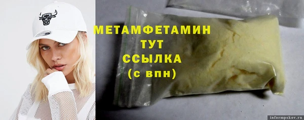 прущие грибы Магадан