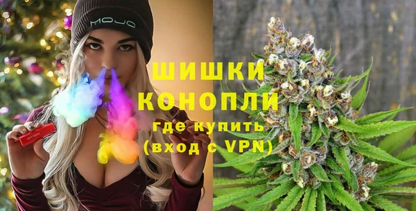 прущие грибы Магадан