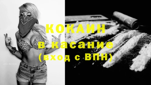 прущие грибы Магадан